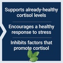 life-extension-cortisol-stress-balance-r-4.jpg