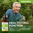 herbal-goodness-soursop-leaf-papaya-leaf-4.jpg