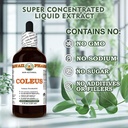coleus-coleus-forskohlii-dry-root-glycer-6.jpg