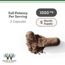 reishi-mushroom-capsules-4-1-ganoderma-e-3.jpg