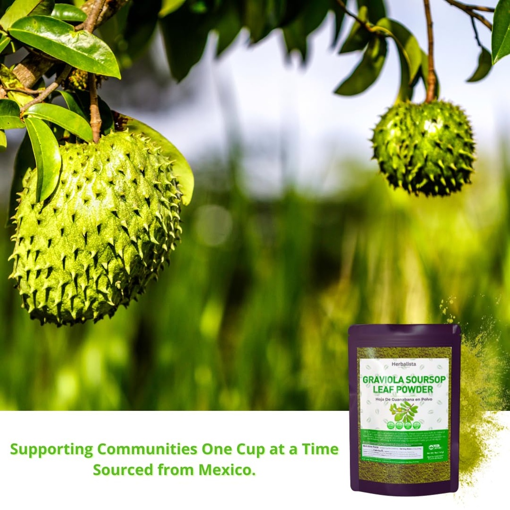 herbalista-5oz-170g-pure-soursop-leaf-po-5.jpg
