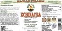 echinacea-alcohol-free-liquid-extract-or-2.jpg