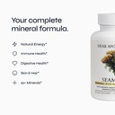 seamoss-organic-irish-sea-moss-500mg-wit-2.jpg