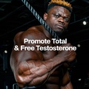 muscletech-testosterone-booster-for-men--5.jpg