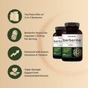 berberine-supplement-1500mg-with-ceylon--4.jpg