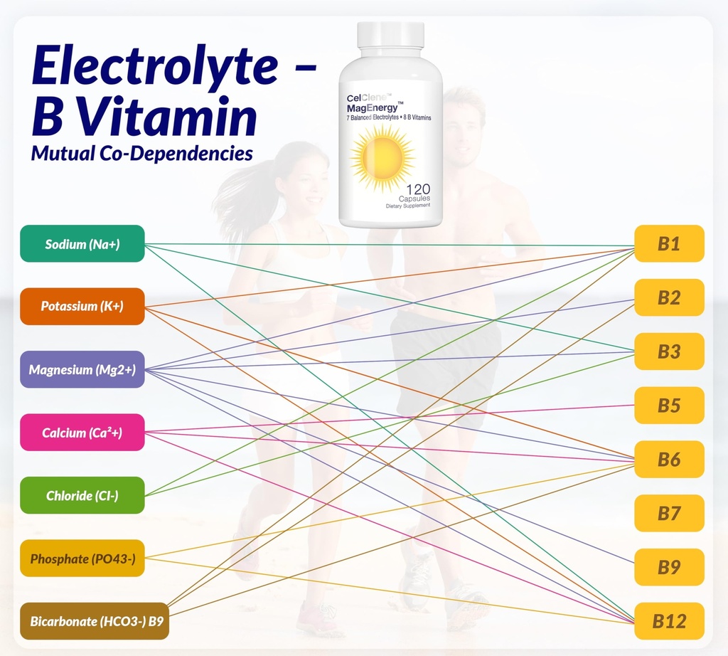 celclene-magenergy-7-electrolytes-8-supe-5.jpg