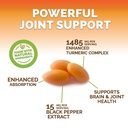 turmeric-curcumin-supplement-complex-bio-6.jpg