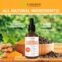 liquid-turmeric-curcumin-with-bioperine--6.jpg