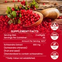 800mg-schisandra-organic-extract-schisan-2.jpg
