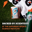 gatorade-3944-powder-variety-pack-lemon--5.jpg