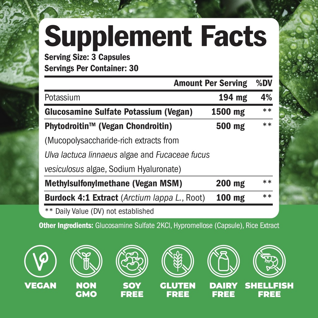 vegan-glucosamine-chondroitin-msm-joint--2.jpg