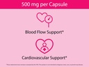 koyah-organic-beet-capsules-freeze-dried-5.jpg