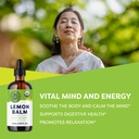 vimergy-usda-organic-lemon-balm-tincture-2.jpg