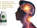 mind-body-focus-natural-nootropic-brain--4.jpg