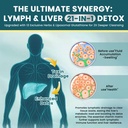 liposomal-lymphatic-drainage-drops-21-in-4.jpg