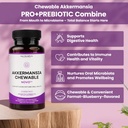 next-microbiome-akkermansia-muciniphila--5.jpg