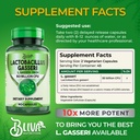 bliva-lactobacillus-gasseri-capsules-l-g-2.jpg