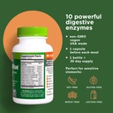naturenetics-digestwise-digestive-enzyme-2.jpg