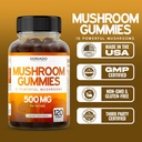 mushroom-gummies-2500mg-10-in-1-blend-12-6.jpg