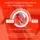 more-labs-liquid-focus-nootropic-smart-d-5.jpg