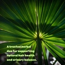 saw-palmetto-supplement-with-pumpkin-see-6.jpg