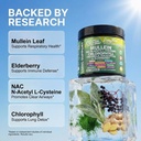 clean-nutra-mullein-leaf-extract-for-lun-3.jpg