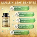 herbalicious-mullein-leaf-extract-for-lu-4.jpg