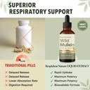 wild-mullein-leaf-extract-6.jpg
