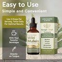 wild-mullein-leaf-extract-60ml-2fl-oz-2p-3.jpg
