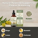 wild-mullein-leaf-extract-60ml-2fl-oz-2p-4.jpg