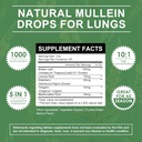 mulittea-mullein-drops-for-lungs-lymphat-2.jpg
