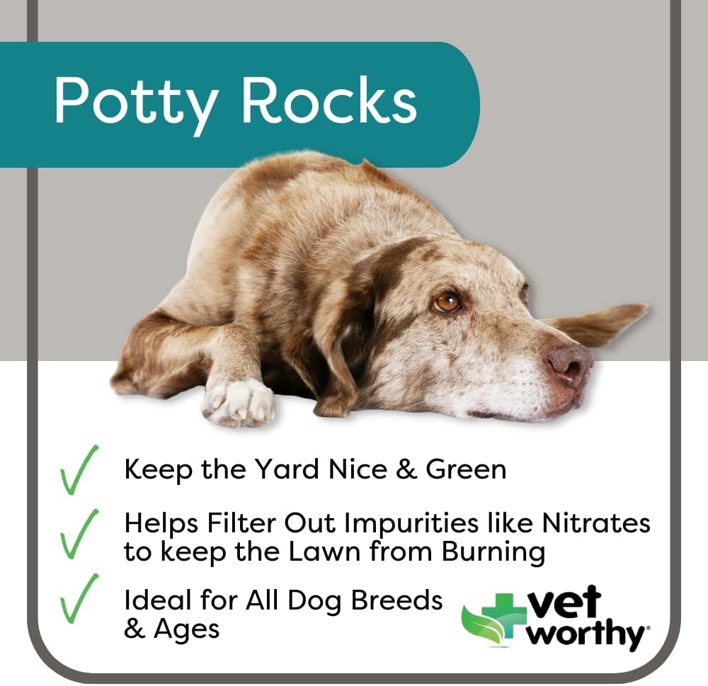 vet-worthy-potty-rocks-for-dogs---parama-2.jpg