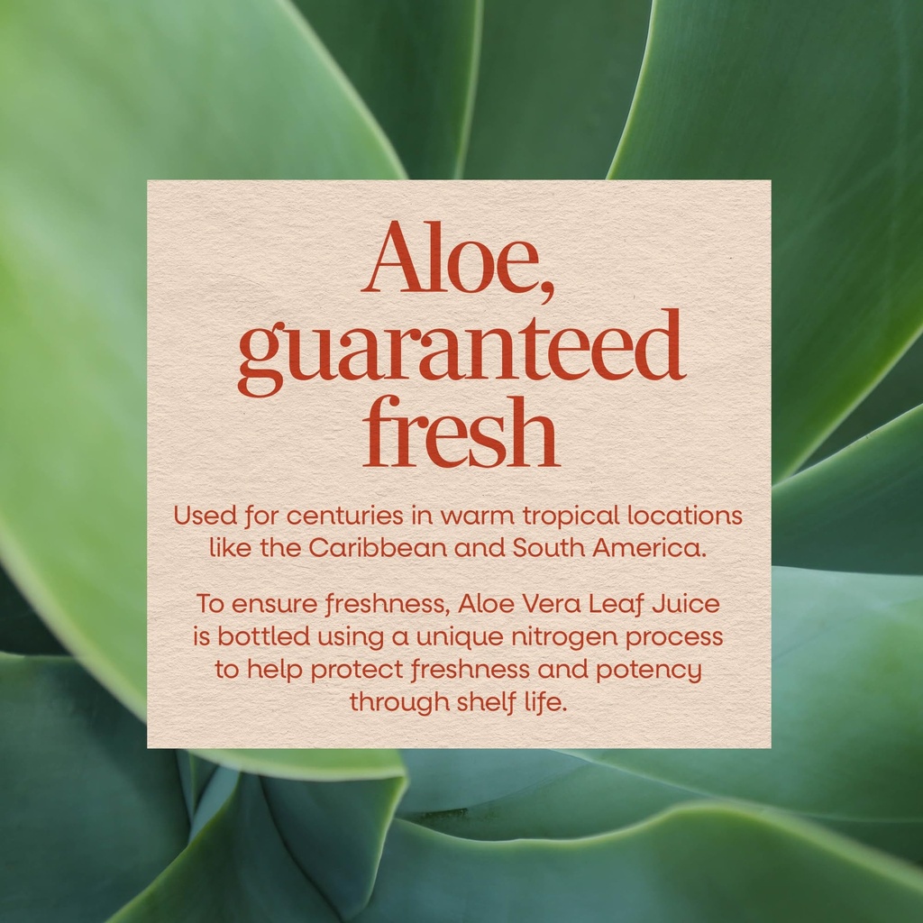 nature-s-way-aloe-vera-leaf-juice-flavor-4.jpg