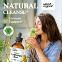 wild-organic-cryptolepis-root-tincture-4-2.jpg