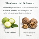 original-green-black-walnut-hull-tinctur-4.jpg