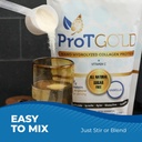 prot-gold-collagen-protein-powder-17g-pr-5.jpg