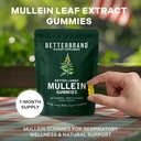 betterbrand-mullein-gummies-for-lungs-10-3.jpg