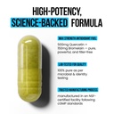 quercetin-500mg-supplement-with-sambucus-4.jpg