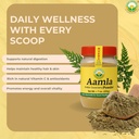 basic-ayurveda-amla-powder-705-oz-200gm--2.jpg