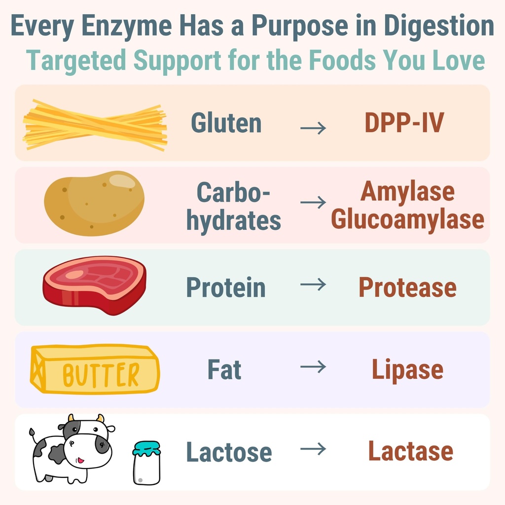 gluten-lactase-digestive-enzyme-gummies--4.jpg