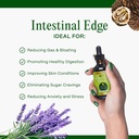 go-nutrients-intestinal-edge-gut-cleanse-3.jpg