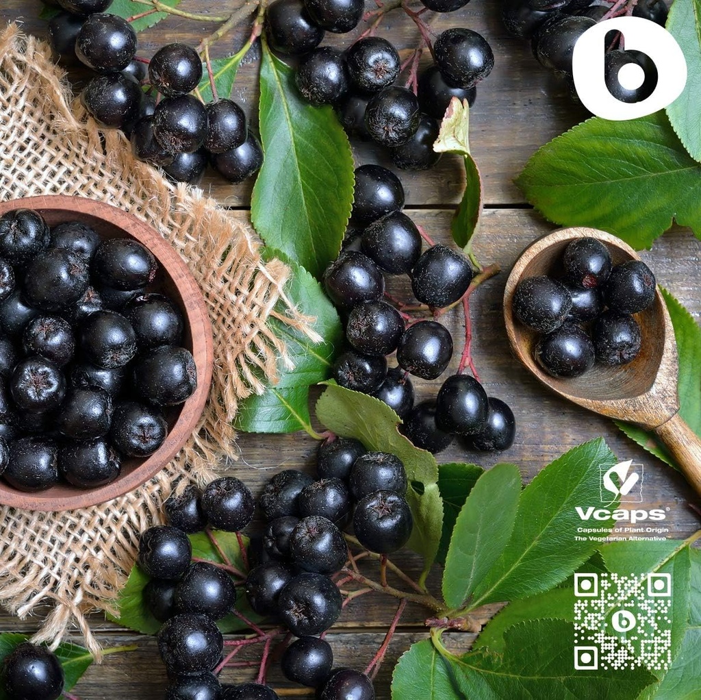 organic-aronia-berry-capsules-black-chok-6.jpg