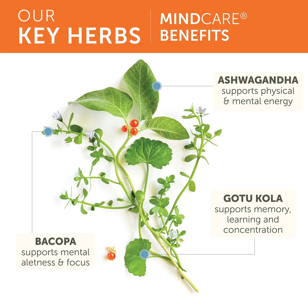 himalaya-mindcare-nootropic-brain-supple-4.jpg