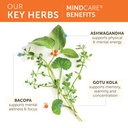 himalaya-mindcare-nootropic-brain-supple-4.jpg