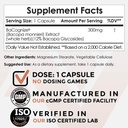 bacognize-bacopa-monnieri-capsules-300mg-2.jpg