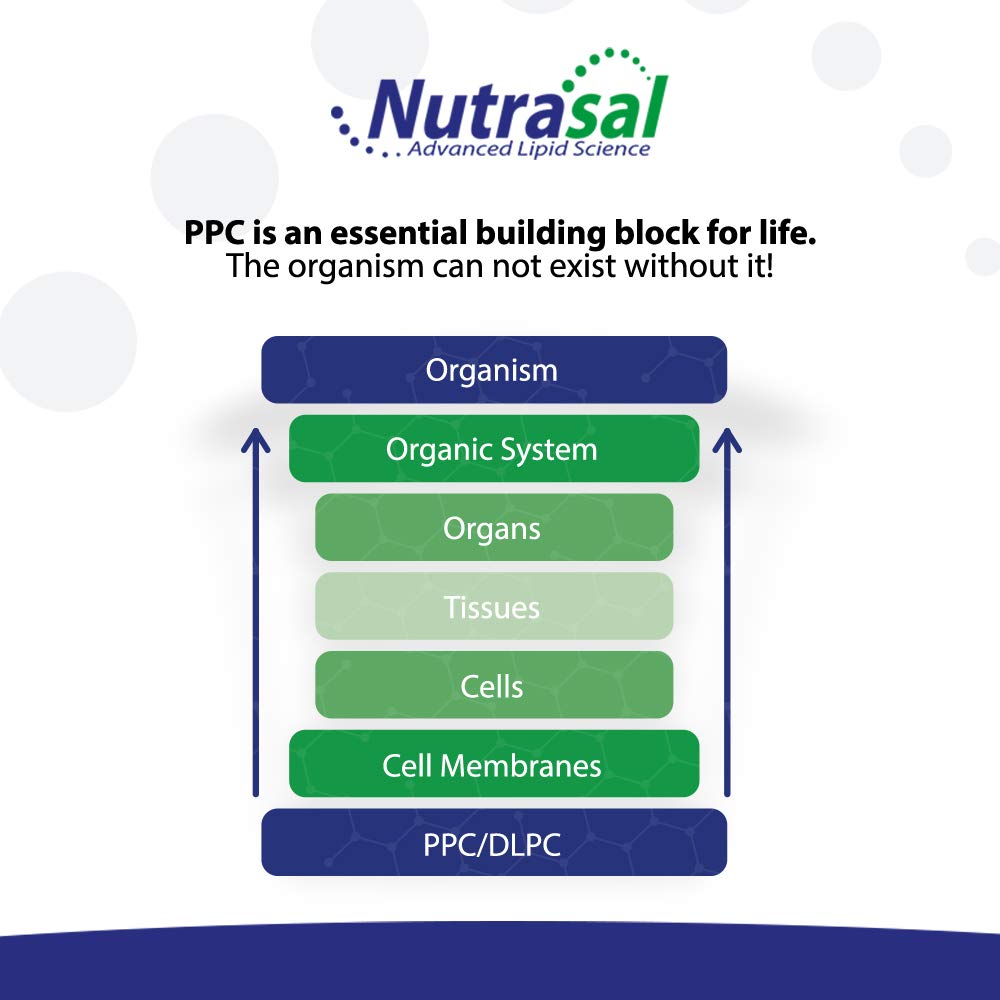 nutrasal-phoschol-liquid-concentrate-300-4.jpg