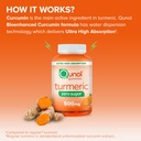 qunol-zero-sugar-turmeric-gummies-gummy--5.jpg
