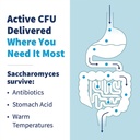 klaire-labs-sfi-health-pure-saccharomyce-4.jpg