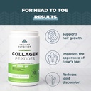 ancient-nutrition-vegetarian-collagen-pe-3.jpg