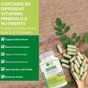 moringa-capsules-180-vegan-pure-oleifera-5.jpg